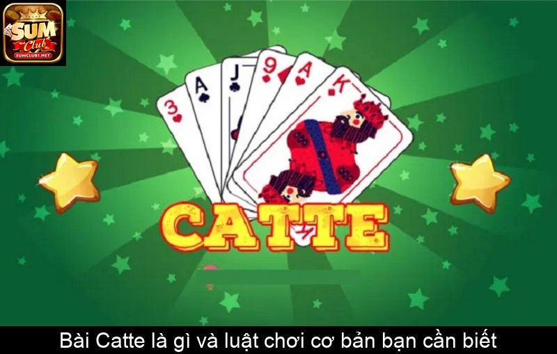 Bài Catte là gì và luật chơi cơ bản bạn cần biết