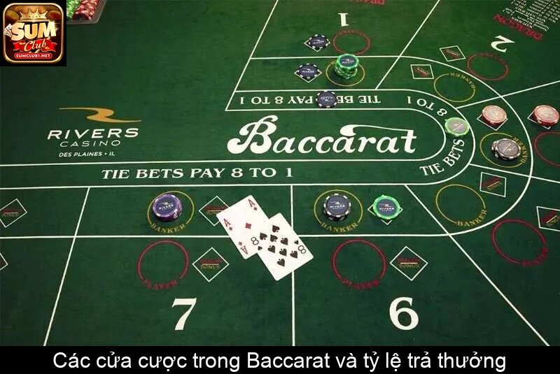 Các cửa cược trong Baccarat và tỷ lệ trả thưởng