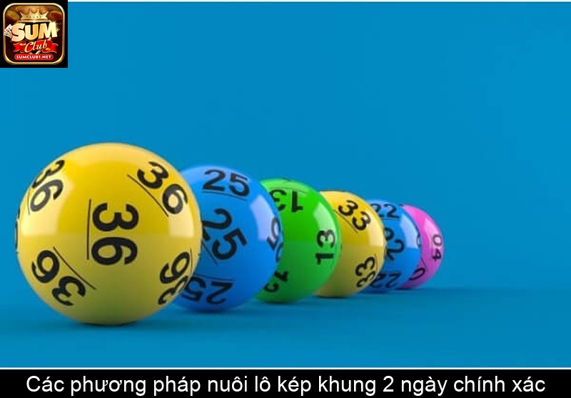 Các phương pháp nuôi lô kép khung 2 ngày chính xác