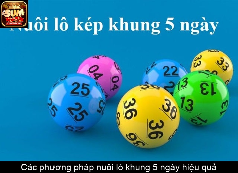 Các phương pháp nuôi lô khung 5 ngày hiệu quả