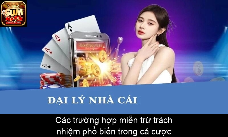 Các trường hợp miễn trừ trách nhiệm phổ biến trong cá cược
