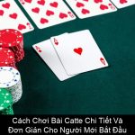 Cách Chơi Bài Catte Chi Tiết Và Đơn Giản Cho Người Mới Bắt Đầu