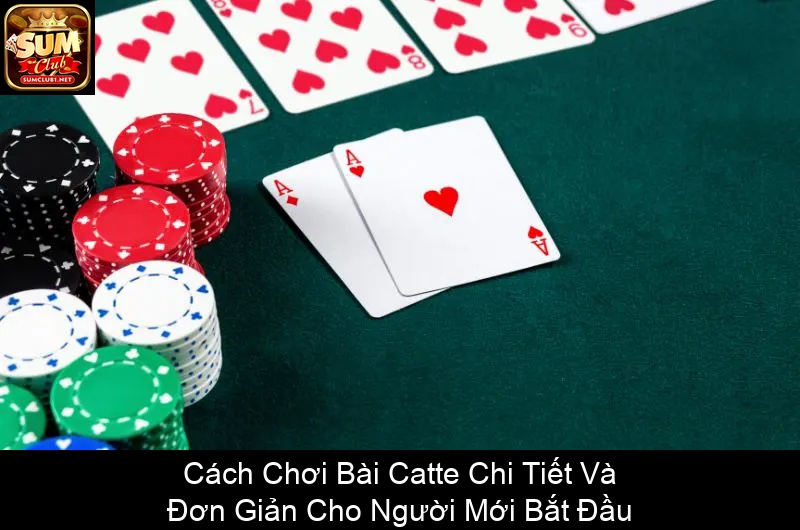 Cách Chơi Bài Catte Chi Tiết Và Đơn Giản Cho Người Mới Bắt Đầu