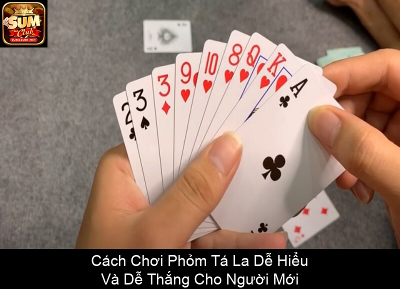 Cách Chơi Phỏm Tá La Dễ Hiểu Và Dễ Thắng Cho Người Mới