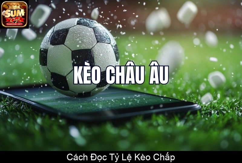 Cách Đọc Tỷ Lệ Kèo Chấp
