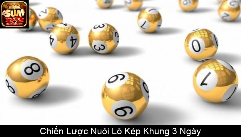 Chiến Lược Nuôi Lô Kép Khung 3 Ngày