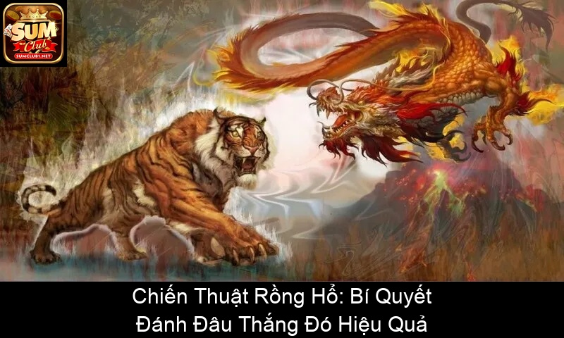 Chiến Thuật Rồng Hổ Bí Quyết Đánh Đâu Thắng Đó Hiệu Quả