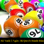 Dàn Đề 25 Số Nuôi 5 Ngày Bí Quyết Đánh Đâu Thắng Đó