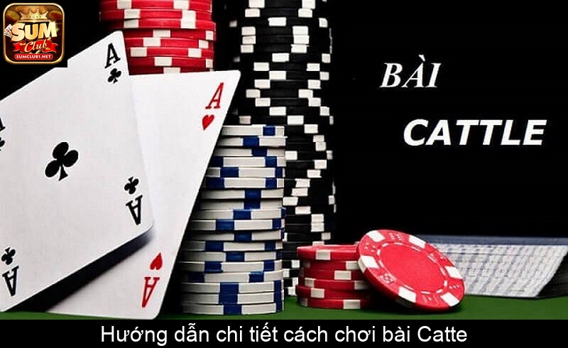 Hướng dẫn chi tiết cách chơi bài Catte