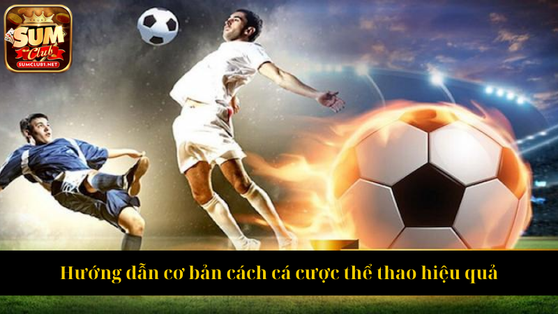 Hướng dẫn cơ bản cách cá cược thể thao hiệu quả