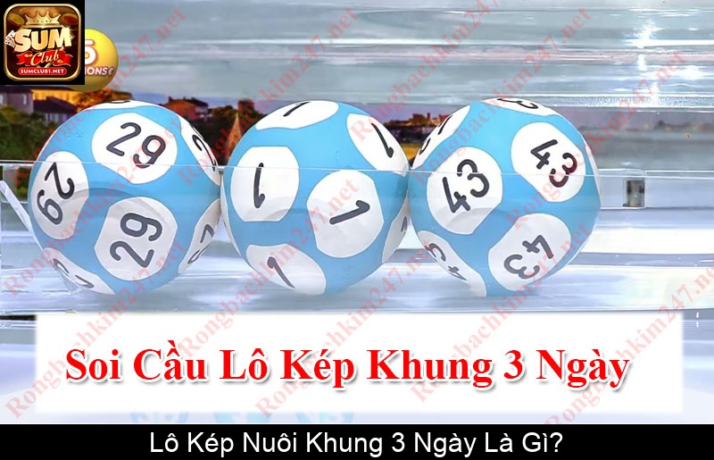 Lô Kép Nuôi Khung 3 Ngày Là Gì