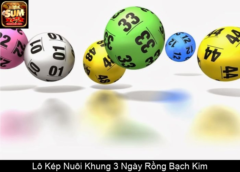 Lô Kép Nuôi Khung 3 Ngày Rồng Bạch Kim