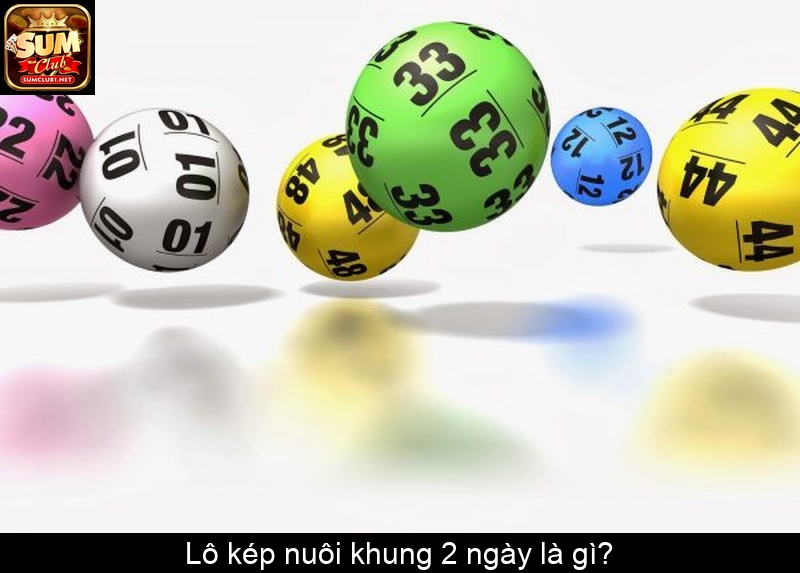 Lô kép nuôi khung 2 ngày là gì