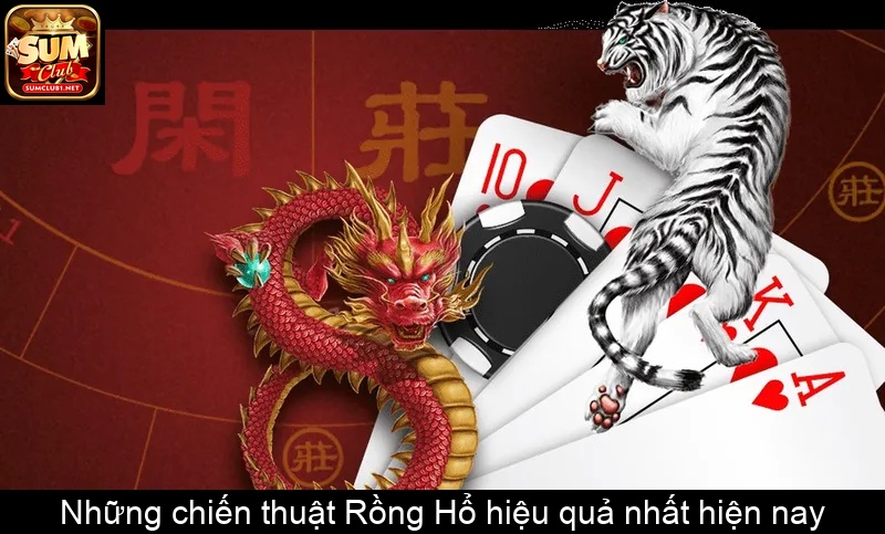 Những chiến thuật Rồng Hổ hiệu quả nhất hiện nay