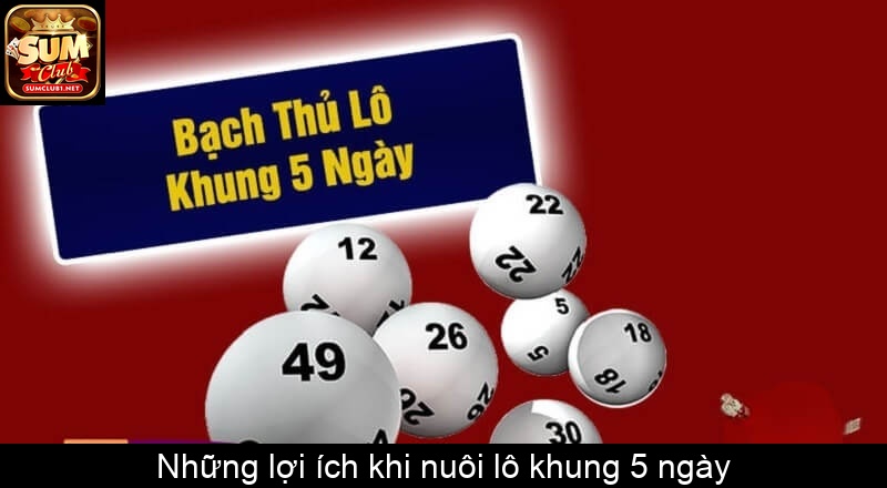 Những lợi ích khi nuôi lô khung 5 ngày