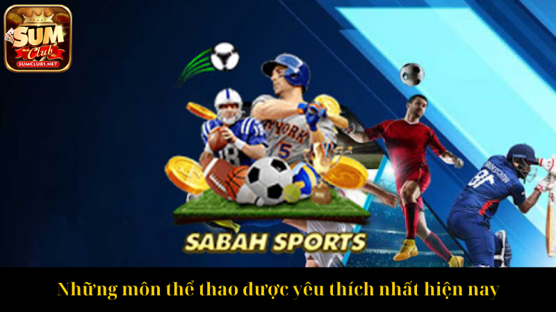 Những môn thể thao được yêu thích nhất hiện nay