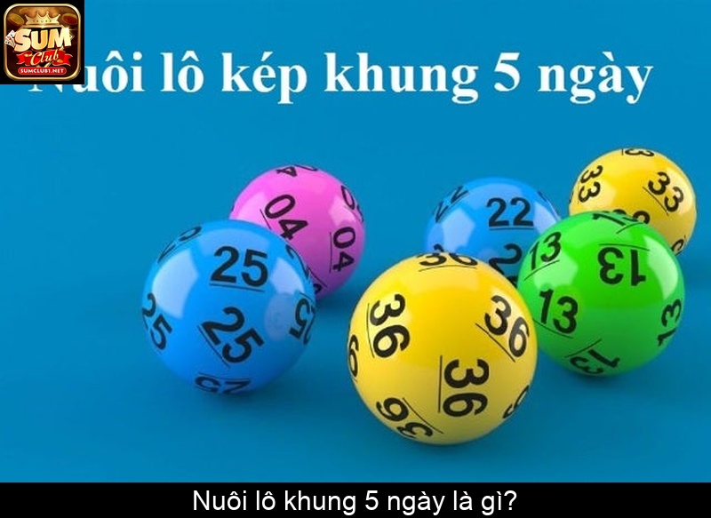 Nuôi lô khung 5 ngày là gì